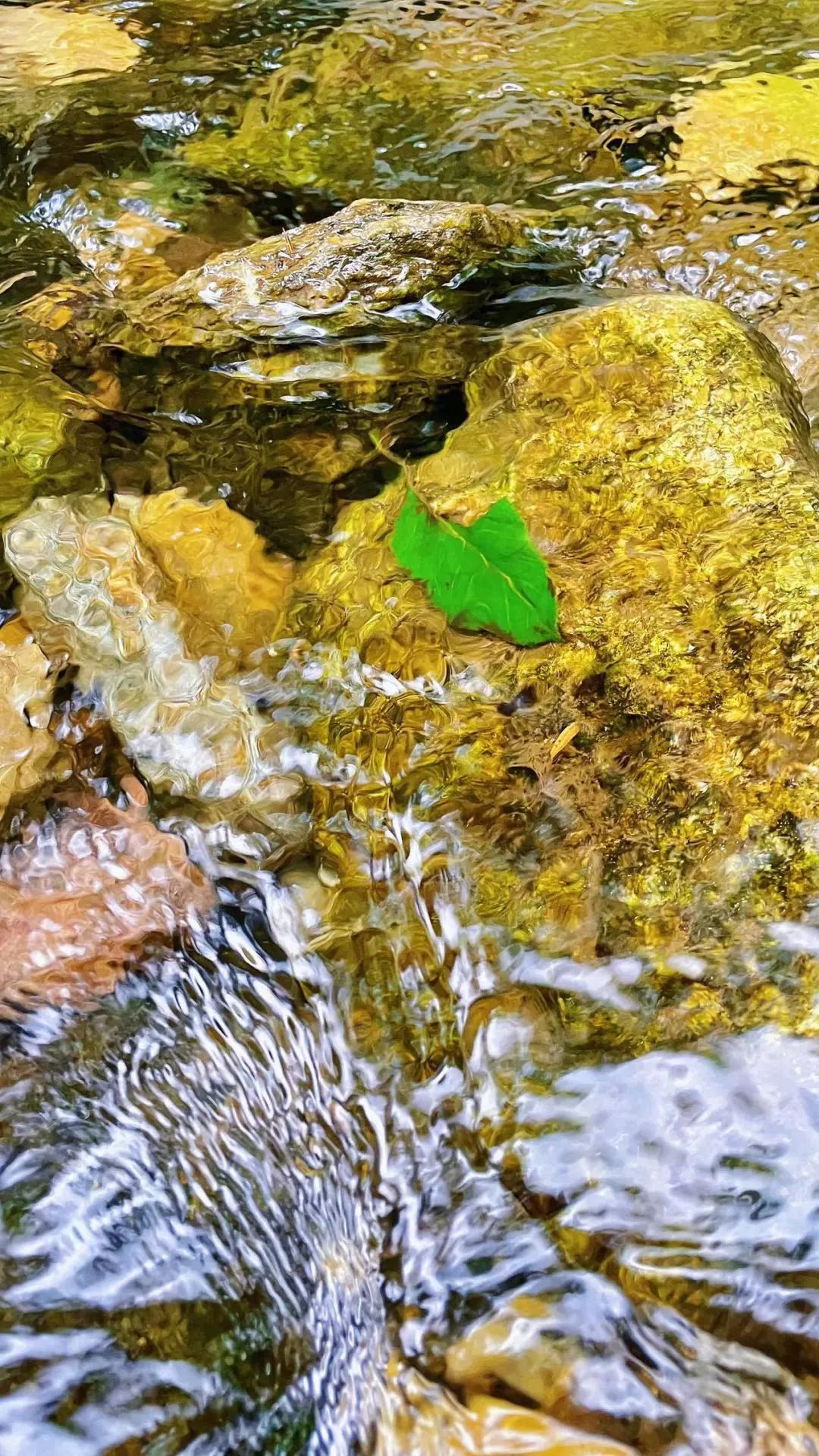 DƬ